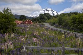 Lais Puzzle - Eintritt in das Corralco Ski Center im Malalcahuello National Reserve, Region Araucanía, Chile - 2.000 Teile