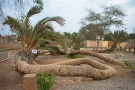 Lais Puzzle - Die siebenköpfige Palme in Ica, Peru - 2.000 Teile