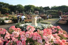 Lais Puzzle - Keisei Rosengarten, Chiba, Japan - 2.000 Teile