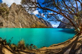 Lais Puzzle - Quenoal-Bäume im Llanganuco-See, in der weißen Bergkette in der Nähe des Huascaran-Berges, in Yungay, Huaraz, Ancash, Peru - 2.000 Teile