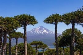 Lais Puzzle - Vulkan Llaima, Chile - 2.000 Teile