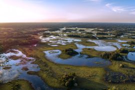 Lais Puzzle - Pantanal fotografiert in Corumba, Mato Grosso do Sul. Pantanal-Biom, Brasilien - 2.000 Teile