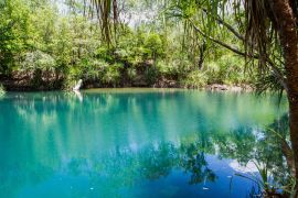 Lais Puzzle - Berry Springs, eine Süßwasserquelle im Northern Territory, Australien - 2.000 Teile