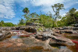 Lais Puzzle - Caño Cristales Kolumbien , Rio de Colores - 2.000 Teile