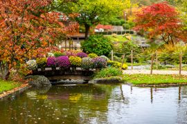Lais Puzzle - Сhrysanthemum (auch bekannt als goldene Gänseblümchen) auf einer Brücke im Japanischen Garten von Hasselt, Belgien - 2.000 Teile