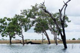 Lais Puzzle - Wasserspiegel im El Tuparro Park Kolumbien - 2.000 Teile