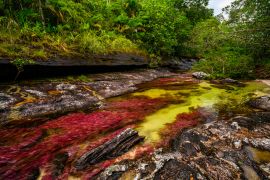 Lais Puzzle - Der Regenbogen-Fluss oder Fünf-Farben-Fluss ist in Kolumbien einer der schönsten Naturorte, er heißt Crystal Canyon - 2.000 Teile