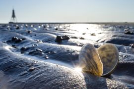 Lais Puzzle - Sandschneise im Wattenmeer in Cuxhaven mit der Kugelbake, einem historischen Hilfsmittel am nördlichsten Punkt Niedersachsens, im Hintergrund - 2.000 Teile