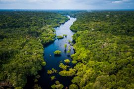 Lais Puzzle - Amazonas-Regenwald im Anavilhanas-Nationalpark, Amazonas - Brasilien - 2.000 Teile