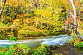 Lais Puzzle - Towada-Hachimantai-Nationalpark, Japan - 2.000 Teile