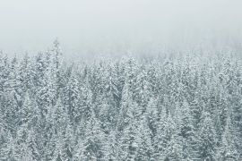 Lais Puzzle - Winterlandschaft - 2.000 Teile