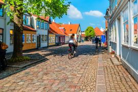 Lais Puzzle - Bunte traditionelle Häuser in der Altstadt von Odense, Dänemark - 2.000 Teile
