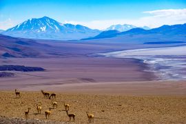 Lais Puzzle - Blick auf die hochgelegene Wüste in der Puna-Region von Salta, Argentinien - 2.000 Teile