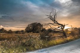 Lais Puzzle - Sommerabend in der Nähe von Kilsyth, North Lanarkshire - 2.000 Teile