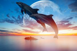 Lais Puzzle - Springende Delfine vor Mond - 2.000 Teile