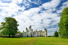 Lais Puzzle - Die Türme und Türmchen von Ducketts Grove, einer Hausruine aus dem 19. Jahrhundert in der Grafschaft Carlow, Irland - 2.000 Teile
