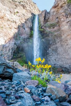 Lais Puzzle - Riesiger Wasserfall in der Wüste. Detail des Wüstenlebens. Antuco Vulkan schwarze Vulkanwüste. Blühende Blumen, Bäume und Steine in der Nähe des Baches. - 2.000 Teile