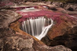 Lais Puzzle - Caño cristales, Kolumbien - 2.000 Teile