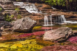 Lais Puzzle - Caño cristales, Kolumbien - 2.000 Teile