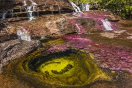 Lais Puzzle - Caño cristales, Kolumbien - 2.000 Teile
