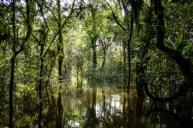 Lais Puzzle - Lagunen und Wälder im Dschungel von Guainia in Kolumbien - 2.000 Teile