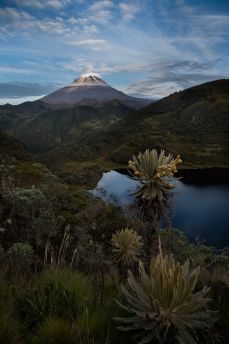 Lais Puzzle - Schöne Landschaft.Tolima verschneit mit frailejones, See und Vegetation. Kolumbien - 2.000 Teile