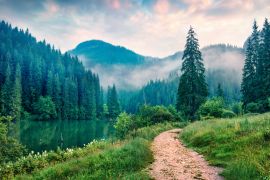 Lais Puzzle - Neblige Morgenszene des Lacu Rosu Sees. Foggy Sommer Sonnenaufgang in Harghita County, Rumänien, Europa. Schönheit der Natur Konzept Hintergrund - 2.000 Teile