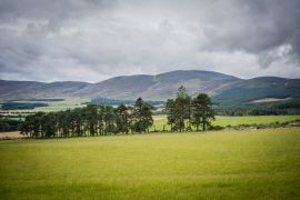 Lais Puzzle - Queens View, Tarland, Aberdeenshire, Schottland - 2.000 Teile