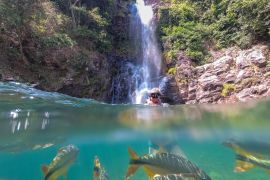Lais Puzzle - Frau beim Schnorcheln in einem kristallklaren Wasserfallbecken im brasilianischen Regenwald, beobachtet tropische Fische unter Wasser, Bom Jardim, Mato Grosso, Brasilien - 2.000 Teile