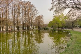 Lais Puzzle - 2 de Febrero Park Resistencia - Chaco - Argentinien - 2.000 Teile