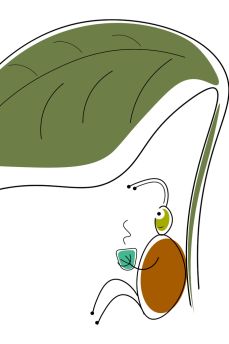 Lais Puzzle - Cartoon Käfer - 2.000 Teile