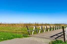 Lais Puzzle - Wanderweg und Holzbrücke im Erholungspark Zuidpolder in Barendrecht, Niederlande. Blauer Himmel - 2.000 Teile