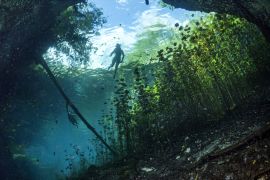 Lais Puzzle - Höhlentauchen in mexikanischen Cenoten, Mexiko - 2.000 Teile