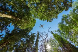 Lais Puzzle - Flugzeug über Bäumen - 2.000 Teile