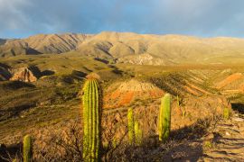 Lais Puzzle - Ruinen von Amaicha - Amaicha del Valle, Tucumán Argentinien - 2.000 Teile