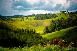 Lais Puzzle - Llanos de Cuiva, Antioquia, Kolumbien - 2.000 Teile