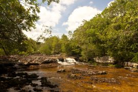 Lais Puzzle - Los Pozos Stream, San Jose del Guaviare, Guaviare, Kolumbien - 2.000 Teile