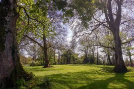 Lais Puzzle - Longford, Irland - 2.000 Teile