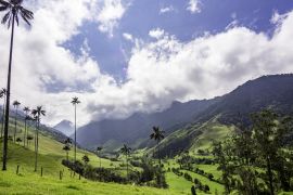 Lais Puzzle - Schöne Tageswanderung Landschaft von Valle del Cocora in Salento, Kolumbien - 2.000 Teile