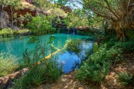 Lais Puzzle - Fern-Pool in der Dales-Schlucht, Karijini-Nationalpark, Westaustralien - 2.000 Teile