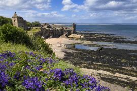 Lais Puzzle - St Andrews Castle Ruinen auf felsigen Nordseeküste mit Blick auf Castle Sands Strand in St Andrews Fife Schottland UK mit lila Geranien - 2.000 Teile