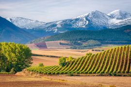 Lais Puzzle - Weinberge mit San Lorenzo Berg als Hintergrund, La Rioja, Spanien - 2.000 Teile