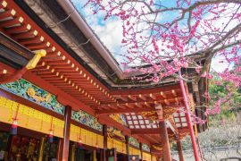 Lais Puzzle - Dazaifu Tenmangu, Hakata, Japan - 2.000 Teile