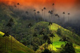Lais Puzzle - Bewölkte Landschaft des Cocora-Tals, Salento, Kolumbien - 2.000 Teile