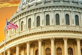 Lais Puzzle - United States Capitol, Washington D.C. - 2.000 Teile