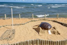 Lais Puzzle - Projekt Tamar am Praia do Forte in Brasilien - 2.000 Teile