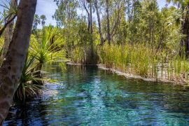 Lais Puzzle - Mataranka Hot Springs im Waterhouse River, Mataranka, Northern Territory, Australien - 2.000 Teile