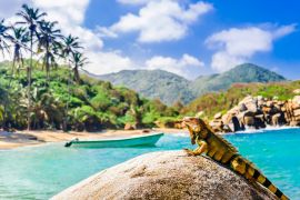 Lais Puzzle - Blick auf Leguan auf einem Felsen im Nationalpark Tayrona in Kolumbien - 2.000 Teile
