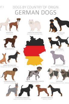 Lais Puzzle - Hunde Deutschlands - 2.000 Teile