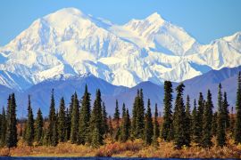 Lais Puzzle - Denali Nationalpark Alaska - 2.000 Teile